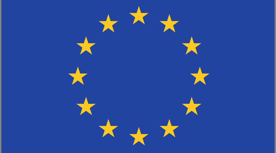 The EDF was officially launched on 30 June, to be followed soon by the release of its first annual round of CFP for 2021 totalling EUR1.2 billion.