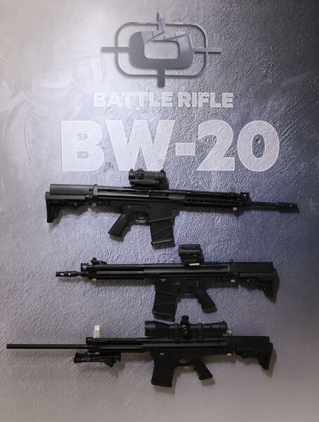 Pakistan Ordnance Factories has developed the BW-20 family of rifles as part of efforts to address the requirements of the Pakistani military.