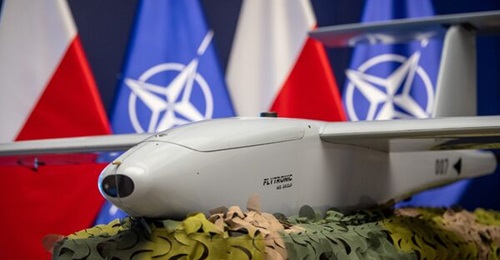 The Gladius that is the subject of Poland's largest deal for unmanned aircraft.