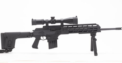 IWI ACE Sniper 7.62 mm self-loading rifle.