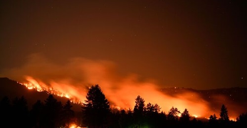 Trees burn on a hillside behind Honey Lake campground during the Dixie wildfire on 18 August 2021 in Milford, California. The wildfire had burnt more than 626,000 acres of land.