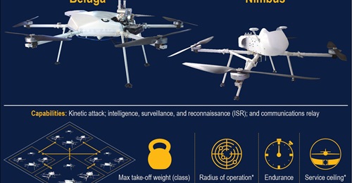 The Indian Army's newly acquired A-SADS system comprises two UAV models.