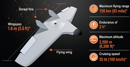 The unmanned aerial vehicle (UAV¹) used in recent attacks on complexes in Moscow.