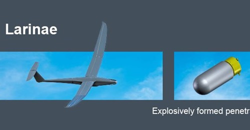 AID awarded a contract to Nexter Arrowtech, EOS Technologie, and Traak on 16  June to develop a medium-range loitering munition under its and the DGA's Larinae call for projects.