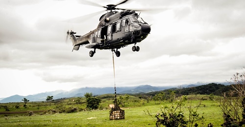 The Brazilian Army fields a total of eight HM-3 Cougar and four HM-2 Black Hawk helicopters, but intends to replace them soon.