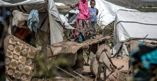 A girl and her brother stand on a donkey cart next to their tent at a displacement camp for people affected by intense flooding in Beledweyne, Somalia, on 14 December 2019.