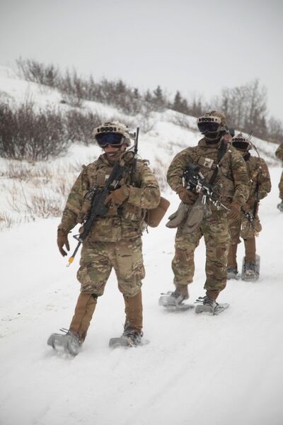 Earlier this year US soldiers conducted IVAS cold-weather testing at the Army Test and Evaluation Command's Cold Regions Test Center at Fort Greely, Alaska. The service has since 'paused' the programme.