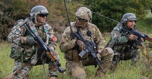 A soldier from the 173rd Airborne Brigade pulls security alongside North Macedonia soldiers during exercise Saber Junction 19.