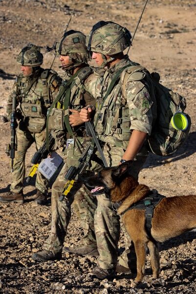UK defence secretary Ben Wallace told parliament on 25 November that the British Army would be reduced by 500 soldiers to a target strength of 73,000 by the middle of the decade. Pictured: soldiers from the 1st Battalion The Royal Irish Regiment traini...