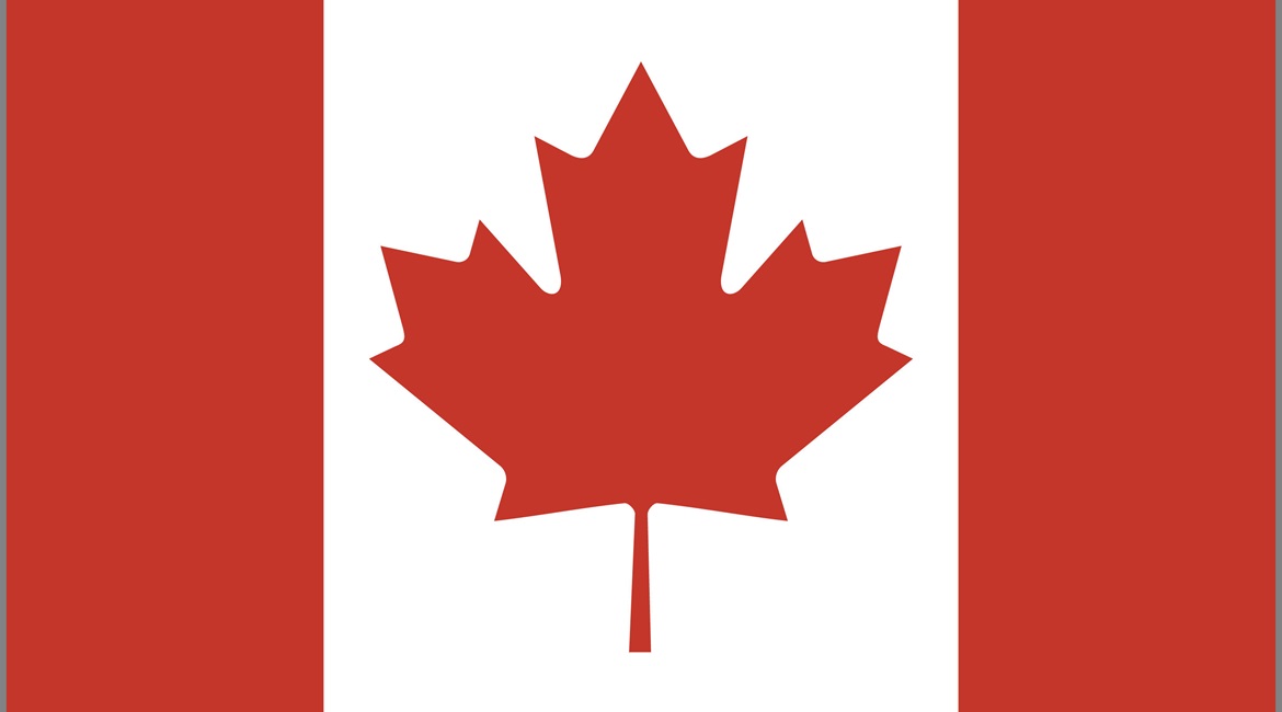 Revenue in Canadian simulation and training company CAE's Defence and Security segment declined for the second straight quarter.