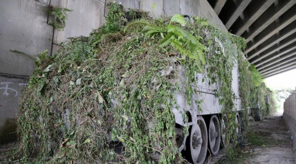 An image showing what appeared to be several RoCA M113-derived armoured vehicles covered in foliage under a bridge during an exercise aimed at practising concealment and camouflage techniques in an urban environment.